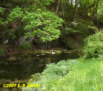 Limestone Stream Big Spring Creek Newville